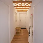 Apartamento Calquerol - Cozy Mountain Attic